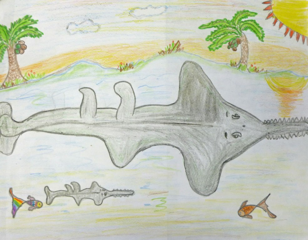 1st Grade 3rd Place. 'Sawfish' by Agastya Gaur from Warwick Elementary School. Image courtesy US Fish and Wildlife Service.